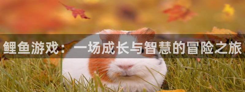 欧陆娱乐绑银行卡安全吗是真的吗