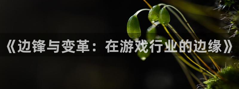 欧陆娱乐产品种类有哪些