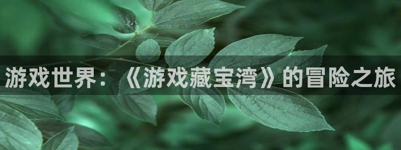 欧陆娱乐app下载链接：游戏世界：《游戏藏宝湾》的冒险之旅